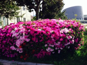 IMG_1551.JPG